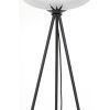 Stojanová lampa trojnožka Ø42x146 cm MAYSON dymové sklo+matná čierna