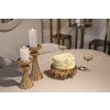 Svietnik júl zlatý malý
